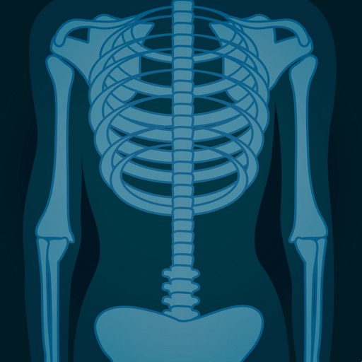 Skeletal System Flashcards icon