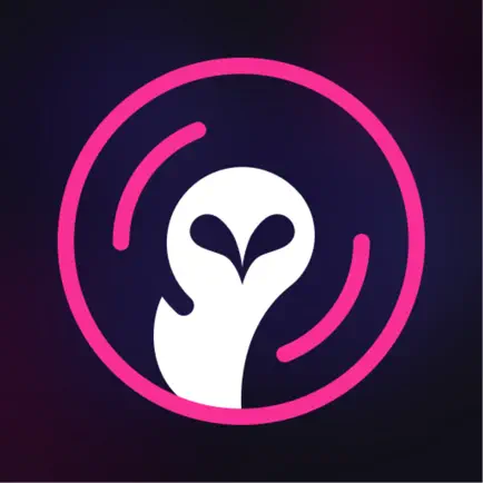 Staseera Читы