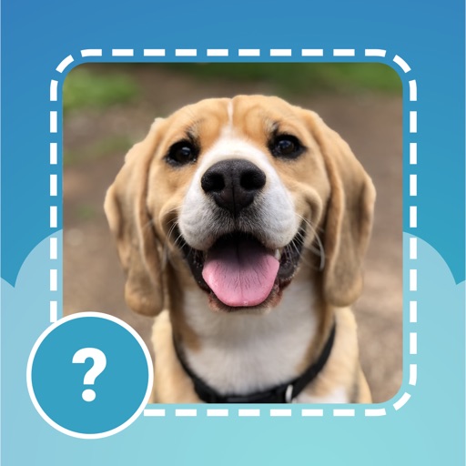 Quiz guess all cute dog breeds iOS App