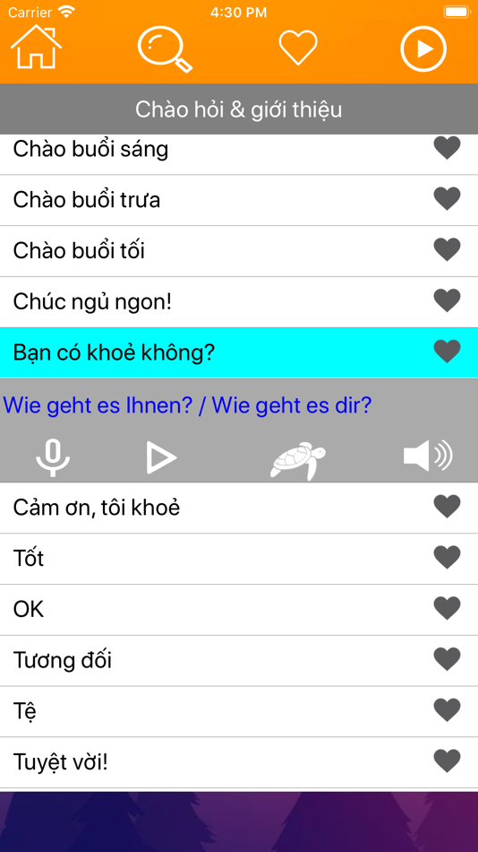 #3. Học Tiếng Đức Giao Tiếp DSH (iOS) 게시자: Cuong Trinh