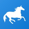 Pony Messenger icon