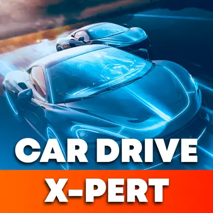 Car Drive X-pert Cheats