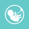 Fetal Growth Projection icon