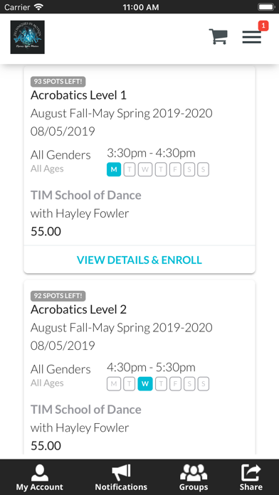 TIM School of Dance Screenshot