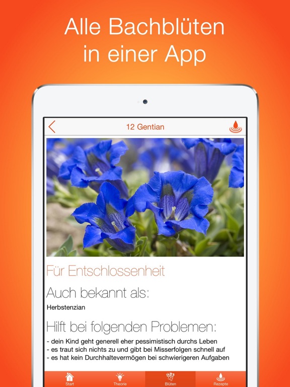 Screenshot #4 pour Bachblüten bei Kindern