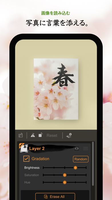 Zen Brush 3のおすすめ画像6