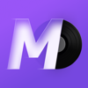 MD Vinyl - Music Player Widget - Miidii Tech