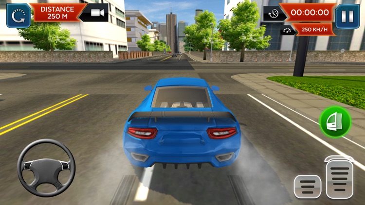 Real Car Driving School Sim 3D screenshot-7