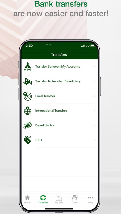 Safwa Islamic Bank Screenshot