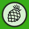 Pine.blog icon