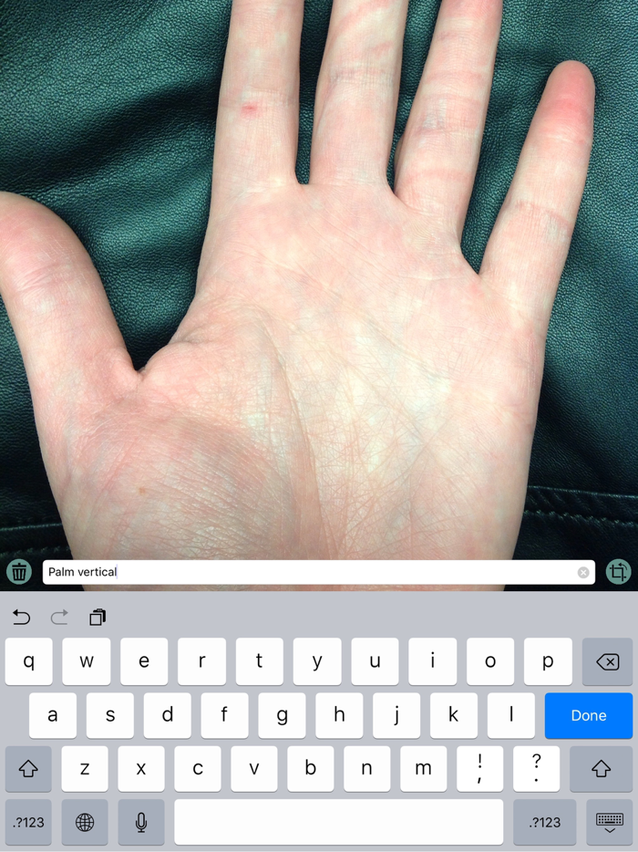 Synapse Connext Mobile