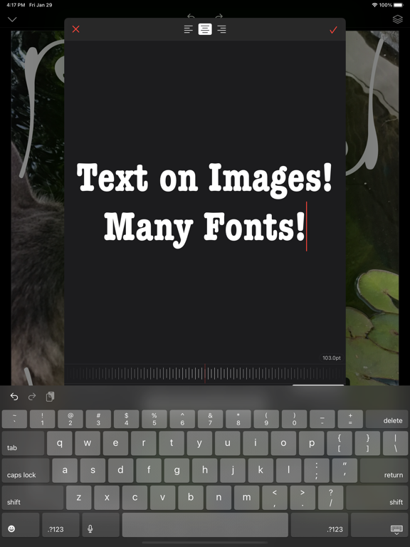 PixelDesk - Image Editor iPad screenshot 6 - Graphics & Design app