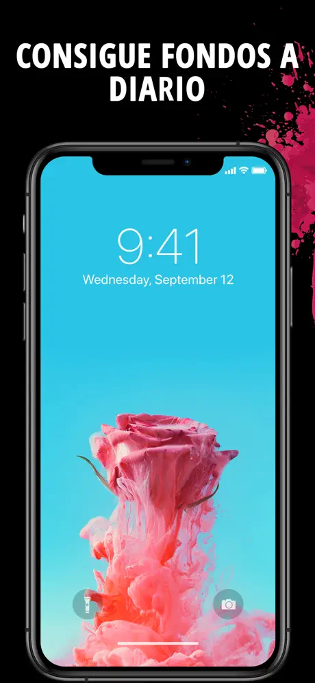 Fondos de Pantalla Inicio HD