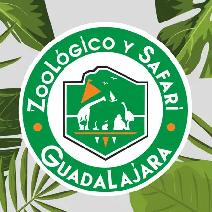 Zoológico Guadalajara Читы