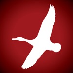 Download American Waterfowler app