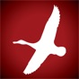 American Waterfowler app download