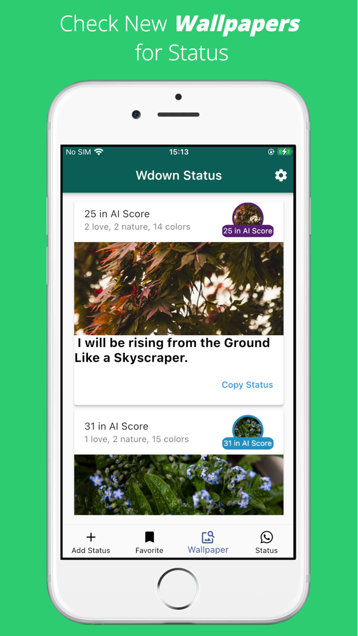Status and Story  Whatsdown