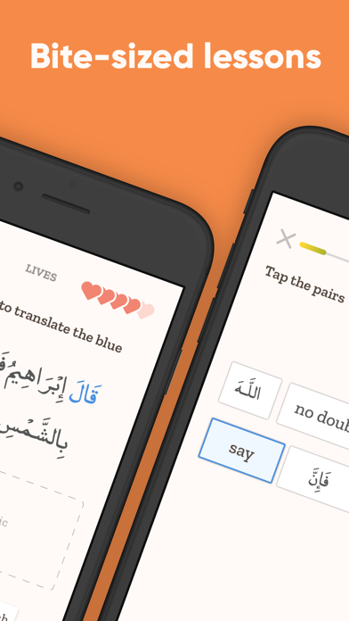 Screenshot #2 pour Quranic: Quran Arabic Learning
