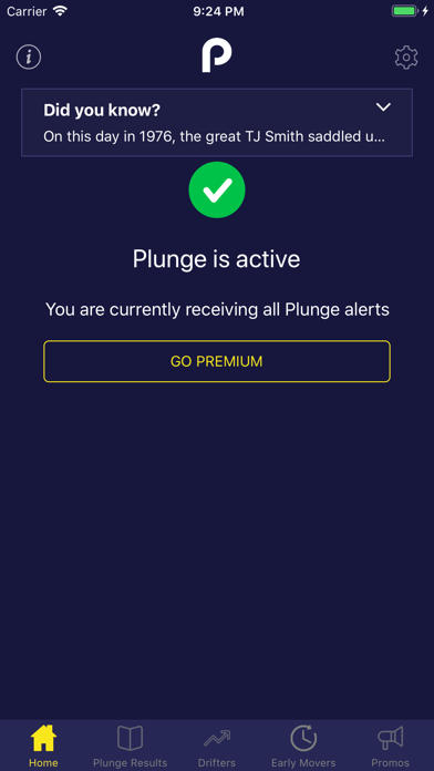 Plunge: Horse Racing Screenshot