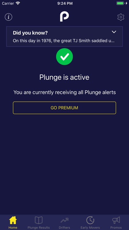 Plunge: Horse Racing