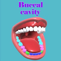 Buccal cavity logo