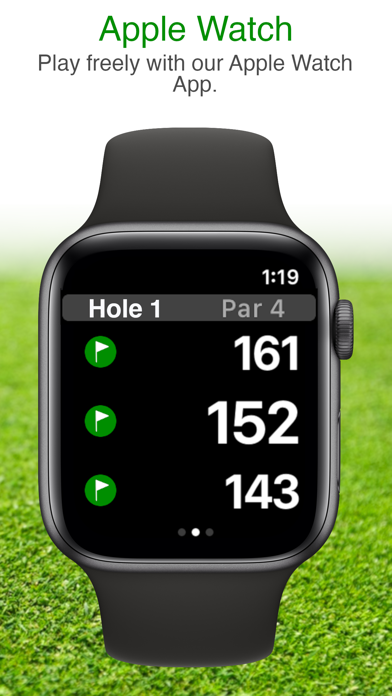 Golf GPS DGolf Screenshot