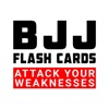 BJJ Flash Cards