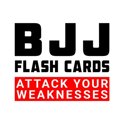 BJJ Flash Cards Cheats