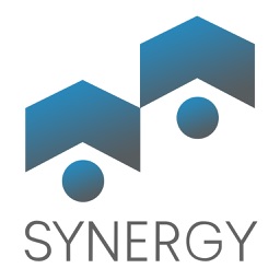 Synergy Motor