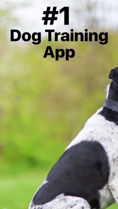 EveryDoggy - Dog Training App Screenshot