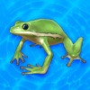 cute frog healing caring game icon