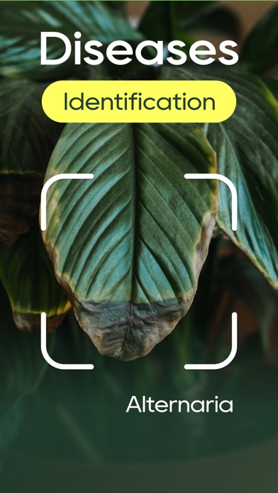 Plant Identifier: Plant Care Screenshot