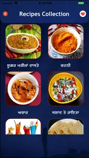 punjabi recipes - indian food problems & solutions and troubleshooting guide - 4