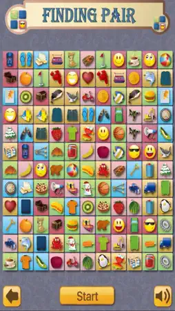 Finding Pair screenshot 1