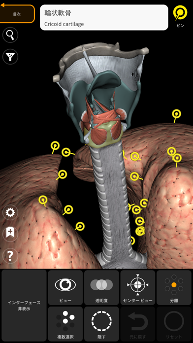 解剖学 - 3Dアトラス screenshot1