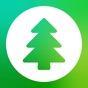 Evergreen – Finance Manager app download