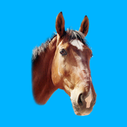 ManegePlan