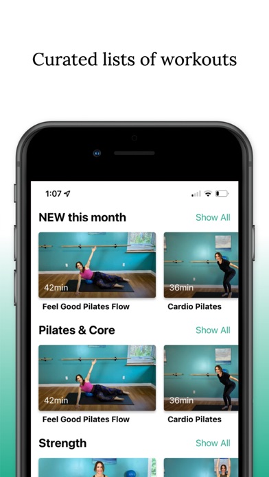 Shaina Falcone Fitness Screenshot