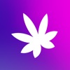 Amuse: Cannabis, Delivered icon