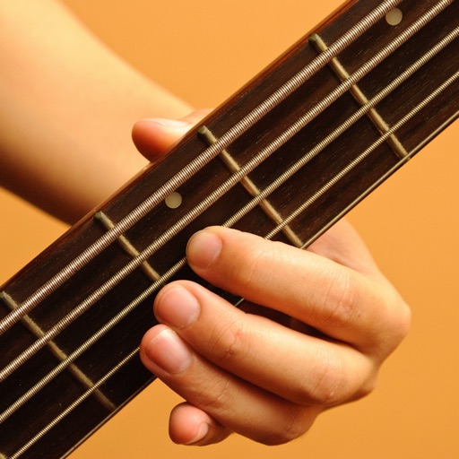 How to play Bass Guitar PRO