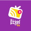 Pixel TV