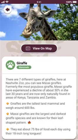 Game screenshot Nashville Zoo hack