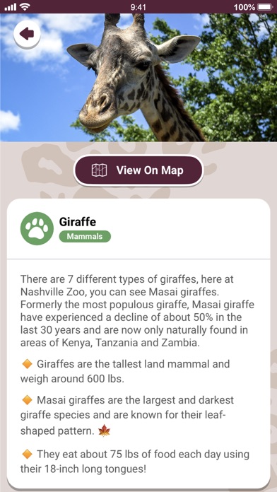 Nashville Zoo Screenshot