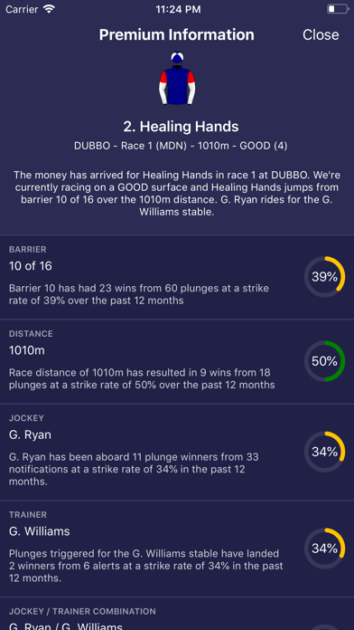Plunge: Horse Racing Screenshot