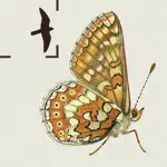 British & Irish Butterflies App Problems