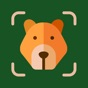 Picture Nature: Animal ID app download