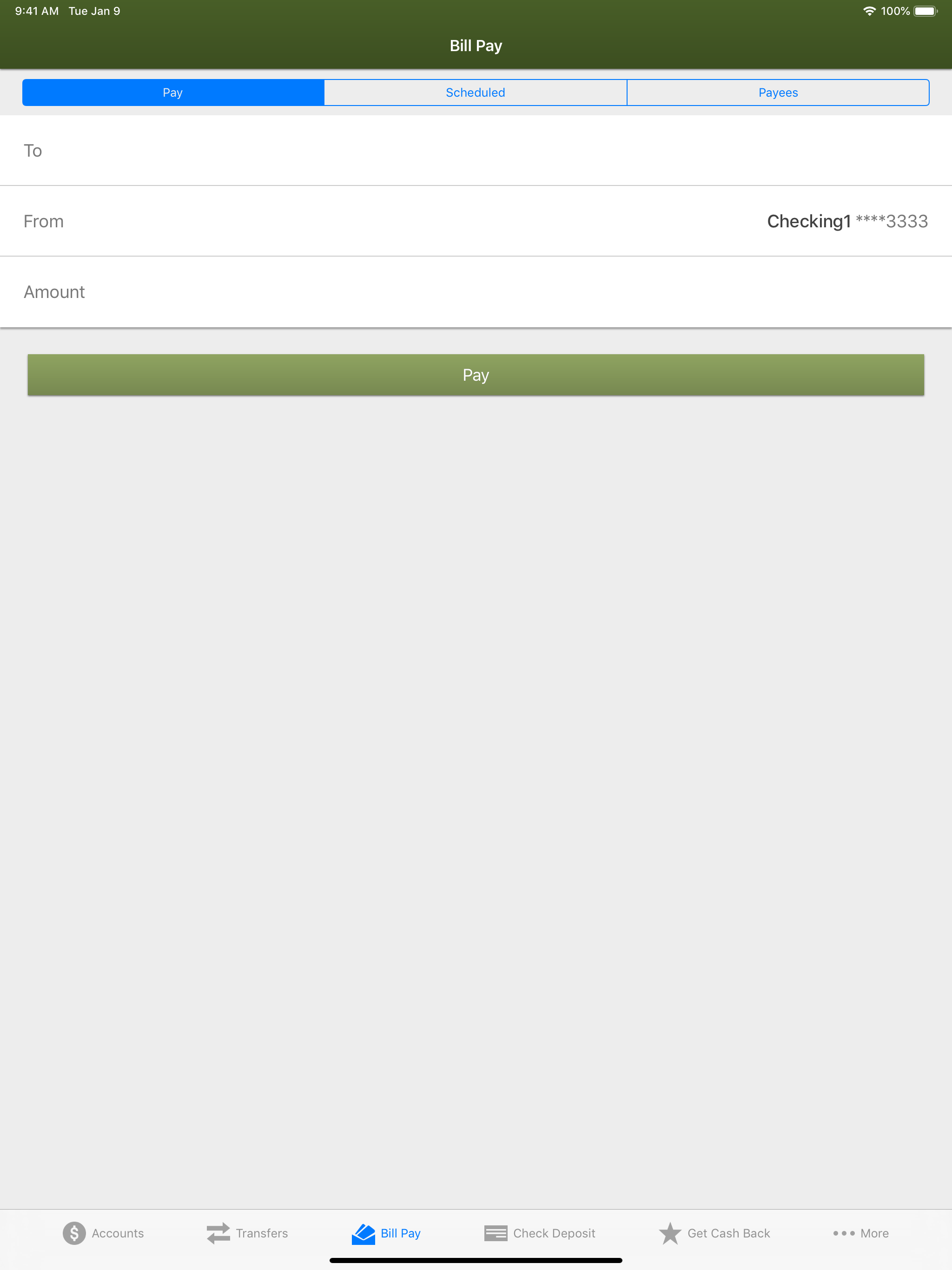NorthCountry Mobile Banking screenshot 14
