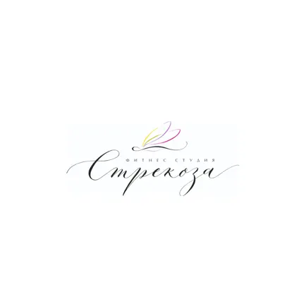 Фитнес-студия Стрекоза Cheats