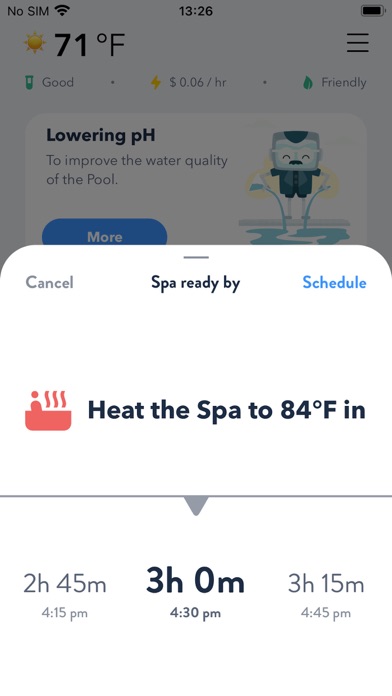 Poolside Attendant Screenshot