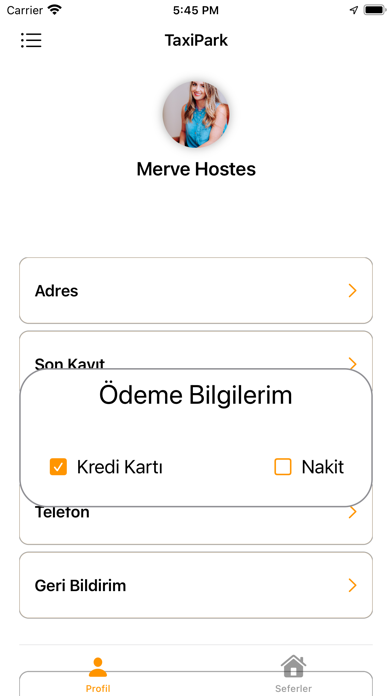 Beşkaya Air Shuttle Screenshot